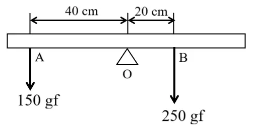 ICSE Class 10 Physics Selina Solutions Chapter 1: Force Exercise 1(A) 18 ICSE Class 10 Physics Force
