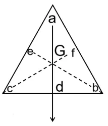 ICSE Class 10 Physics Selina Solutions Chapter 1: Force Exercise 1(B) 11 ICSE Class 10 Physics Force img29
