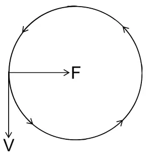 ICSE Class 10 Physics Selina Solutions Chapter 1: Force Exercise 1(C) 3 ICSE Class 10 Physics Force img31