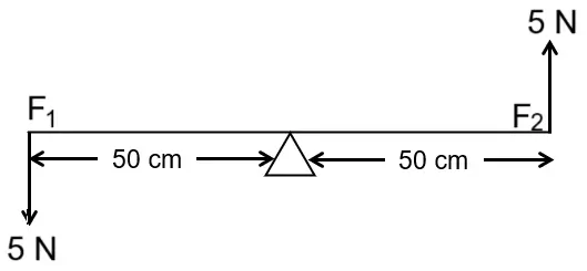 ICSE Class 10 Physics – Force: Important Previous Years’ Questions with Answers 5 ICSE Class 10 Physics Force