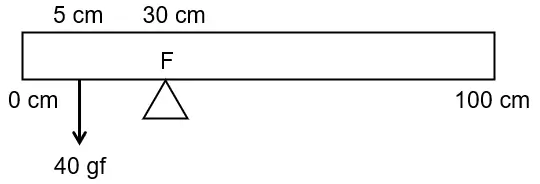 ICSE Class 10 Physics – Force: Important Previous Years’ Questions with Answers 8 ICSE Class 10 Physics Force