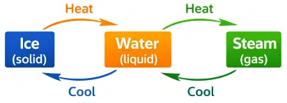 ICSE Class 8 Chemistry Matter