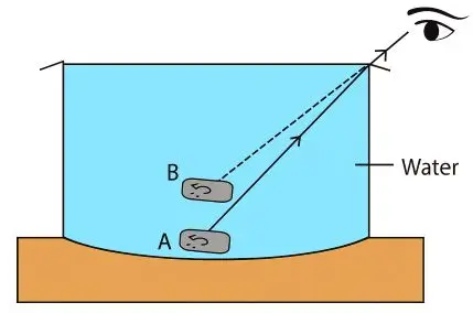 ICSE Class 8 Physics Chapter 5 Light Energy