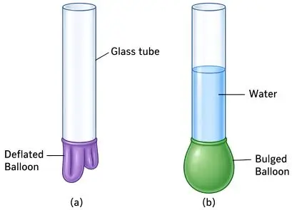 ICSE Class 8 Physics Force and Pressure