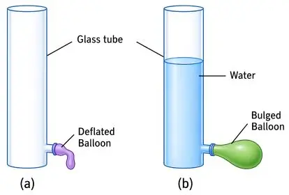 ICSE Class 8 Physics Force and Pressure