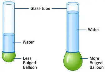 ICSE Class 8 Physics Force and Pressure