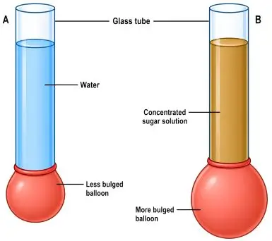 ICSE Class 8 Physics Force and Pressure