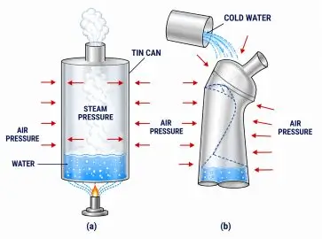ICSE Class 8 Physics Force and Pressure