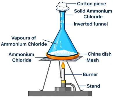 ICSE Class 8 Physics Matter img7