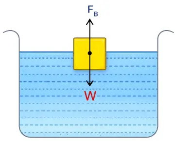 ICSE Class 8 Physics Physical Quantities and Measurement