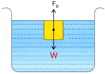 ICSE Class 8 Physics Physical Quantities and Measurement
