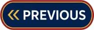 Button labeled 'Previous' in blue