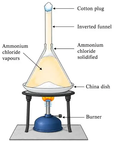 ICSE Class 7 Chemistry Chapter 2 Physical and Chemical Changes