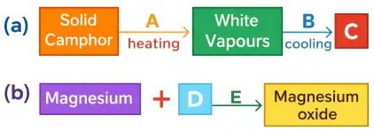 ICSE Class 8 Chemistry Chapter 2 Physical and Chemical Changes Selina Solutions 2 ICSE Class 8 Chemistry Chapter 2 Physical and Chemical Changes