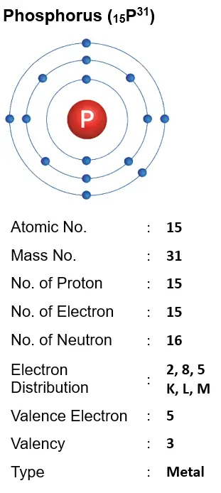 ICSE Class 8 Chemistry Chapter 4 Atomic Structure