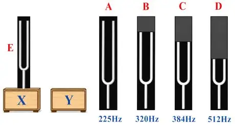 ICSE Class 10 Physics Chapter 7 Sound Previous Year Questions with Answers 13 ICSE Class 10 Physics Chapter 7 Sound