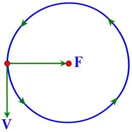 ICSE Class 10 Physics Selina Solutions Chapter 1: Force Exercise 1(C) 3 ICSE Class 10 Physics Chapter 1 Force img47