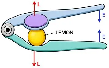 ICSE Class 10 Physics Chapter 3 Machines img25