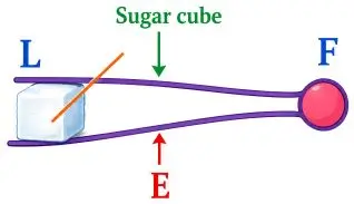 ICSE Class 10 Physics Chapter 3 Machines