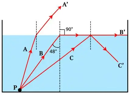 ICSE Class 10 Physics Chapter 4 Refraction of Light at Plane Surfaces img53